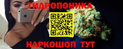 ГАЛЛЮЦИНОГЕННЫЕ ГРИБЫ Нальчик