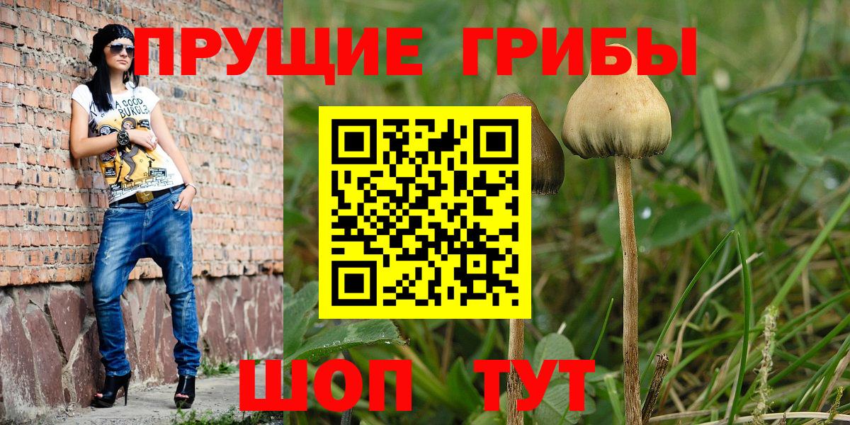 Галлюциногенные грибы Cubensis Топки
