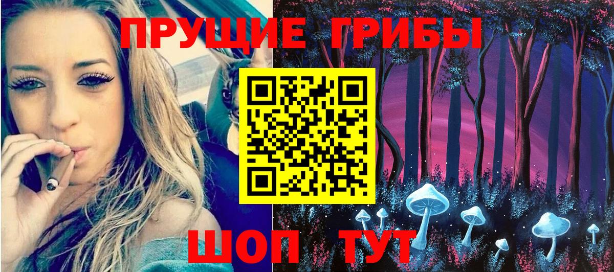 Топки  Галлюциногенные грибы мицелий  Псилоцибиновые грибы прущие грибы  купить  цена  Вход с VPN 